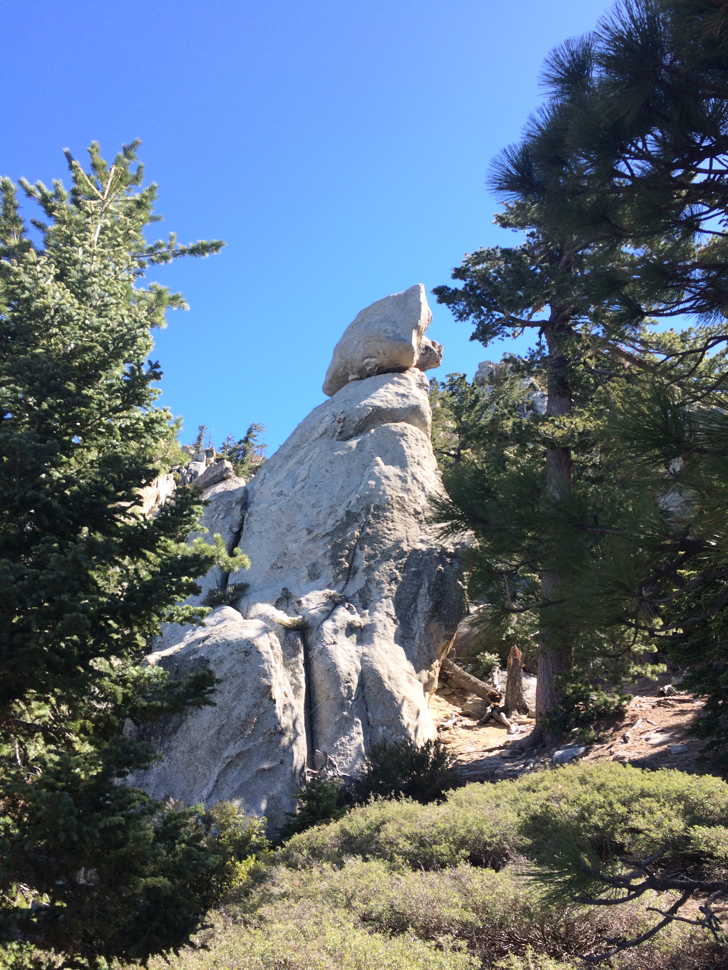 "Doggie Rock" on South Ridge Trail